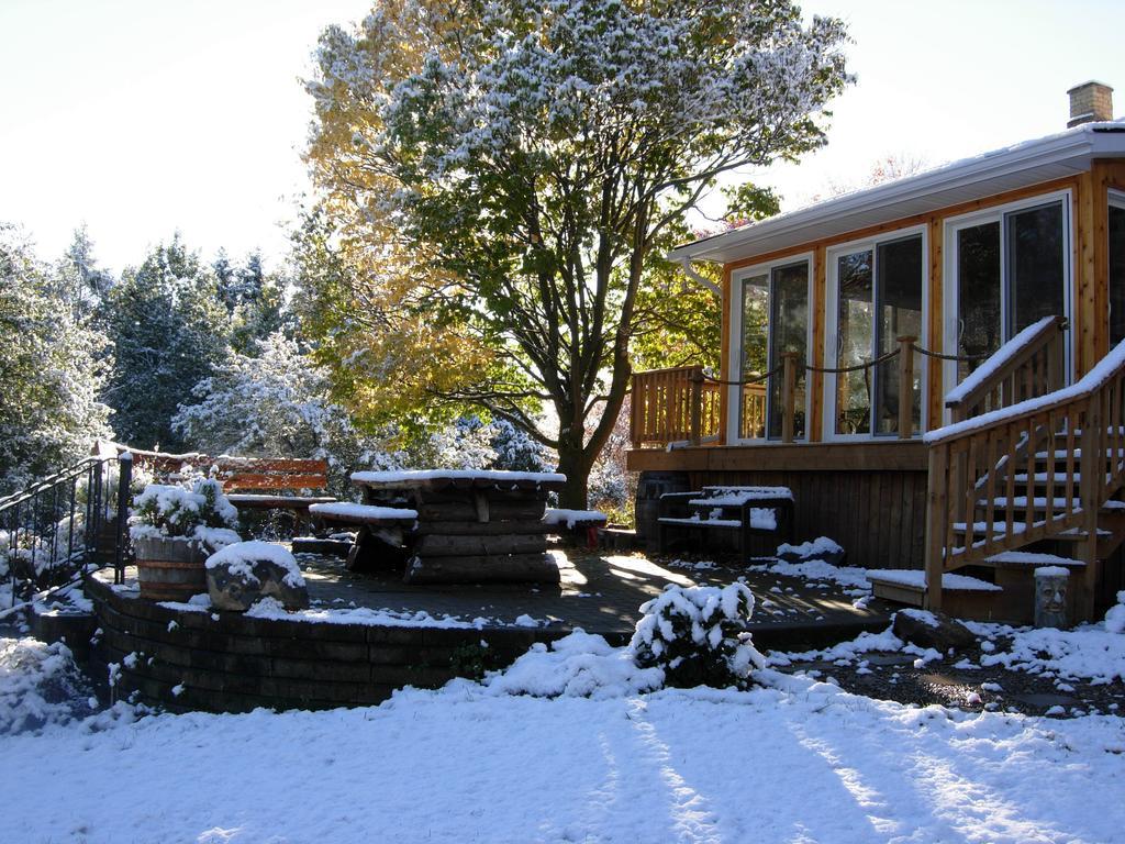 Koch Haus Bed And Breakfast Stratford Exterior foto