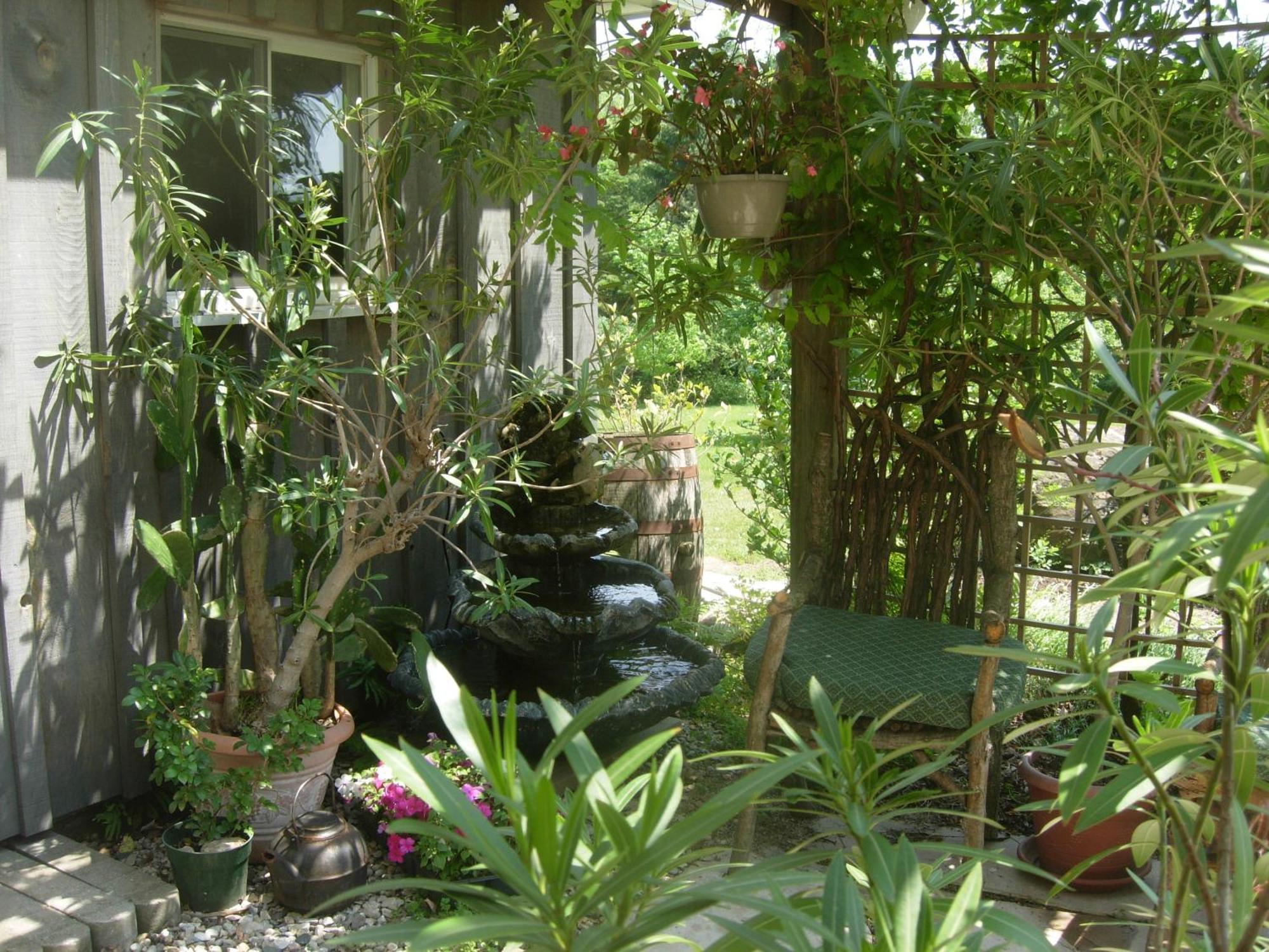 Koch Haus Bed And Breakfast Stratford Exterior foto