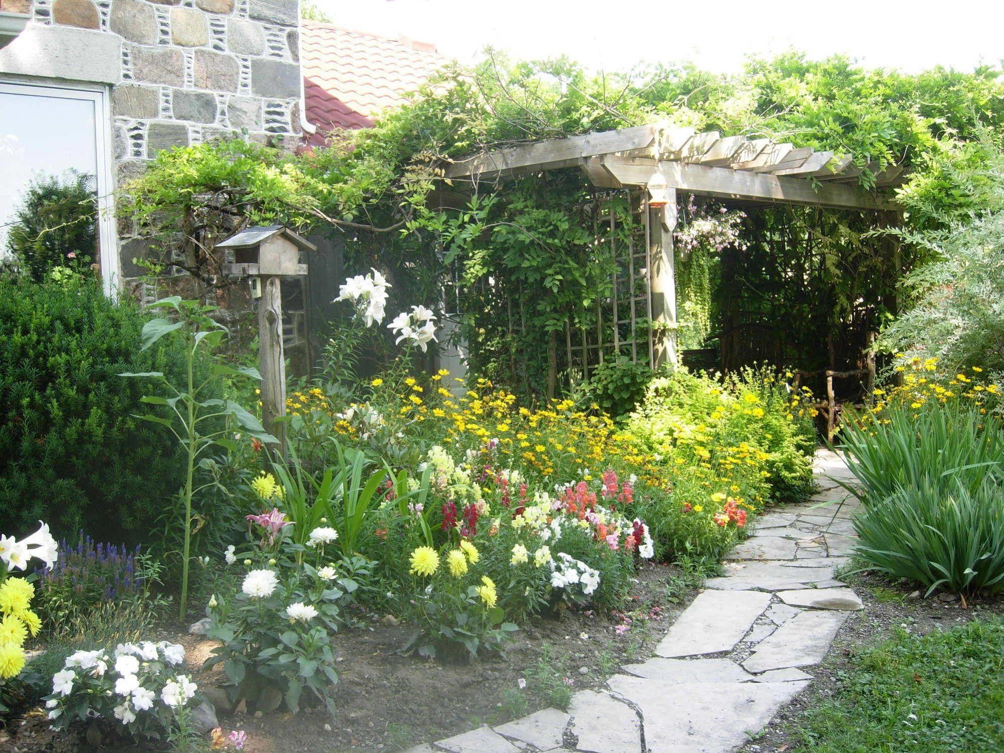 Koch Haus Bed And Breakfast Stratford Exterior foto